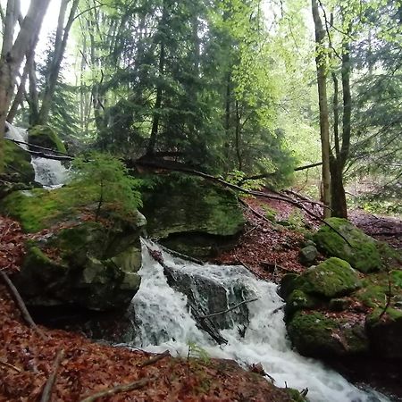 La Fortance Paradis Naturel - Proche de la ville Planfoy Esterno foto