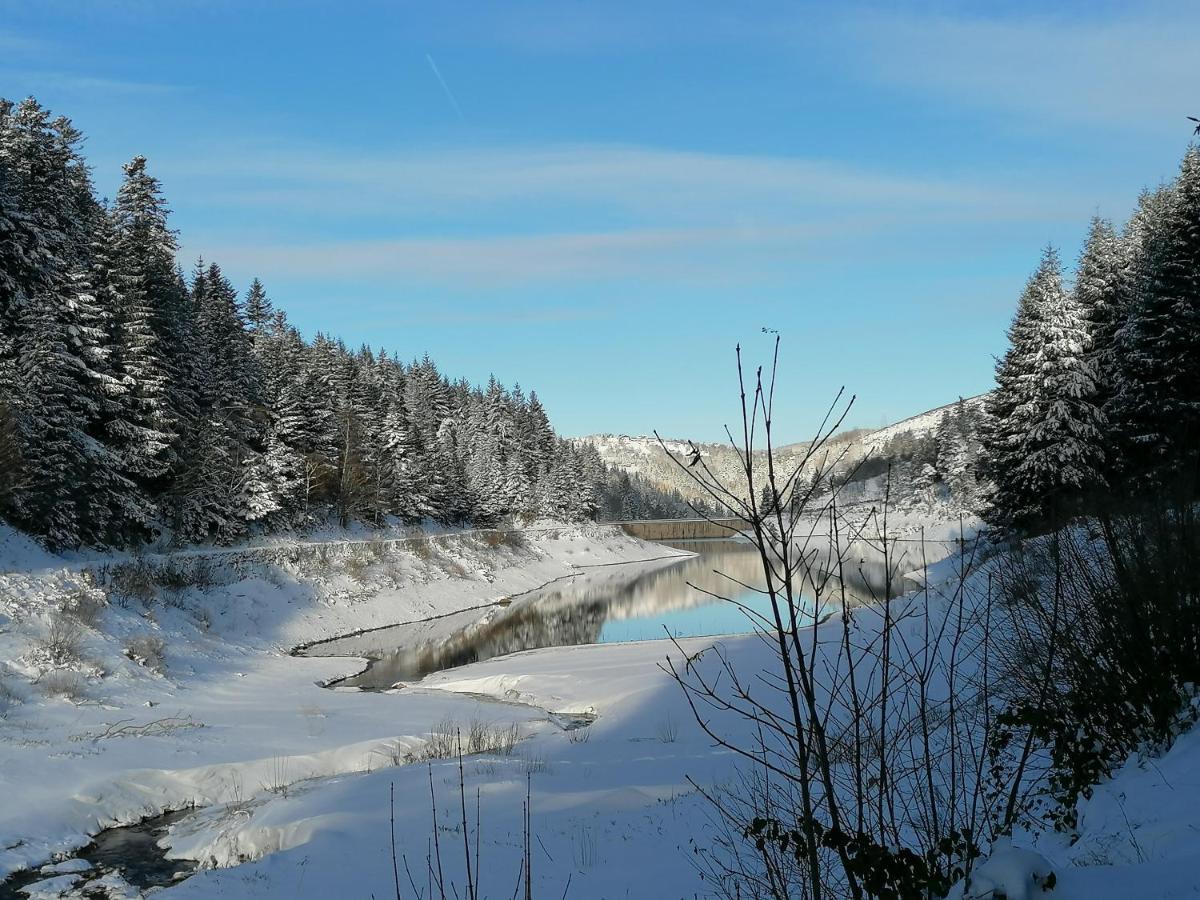 La Fortance Paradis Naturel - Proche de la ville Planfoy Esterno foto