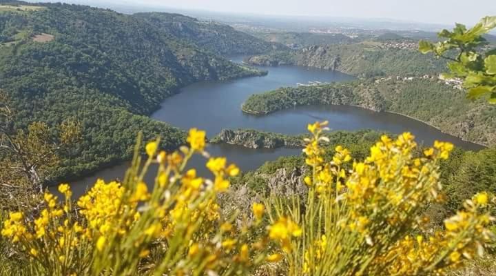 La Fortance Paradis Naturel - Proche de la ville Planfoy Esterno foto