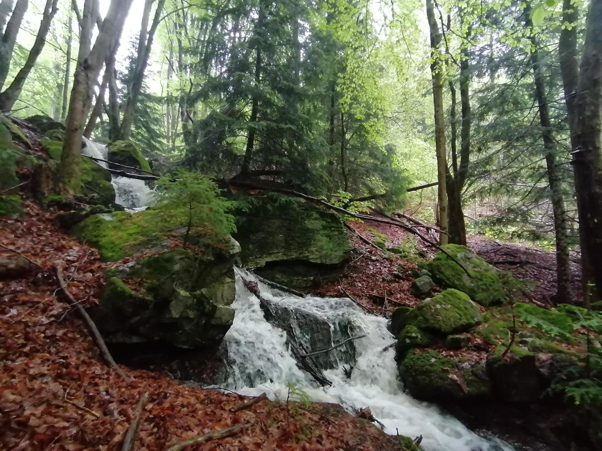 La Fortance Paradis Naturel - Proche de la ville Planfoy Esterno foto