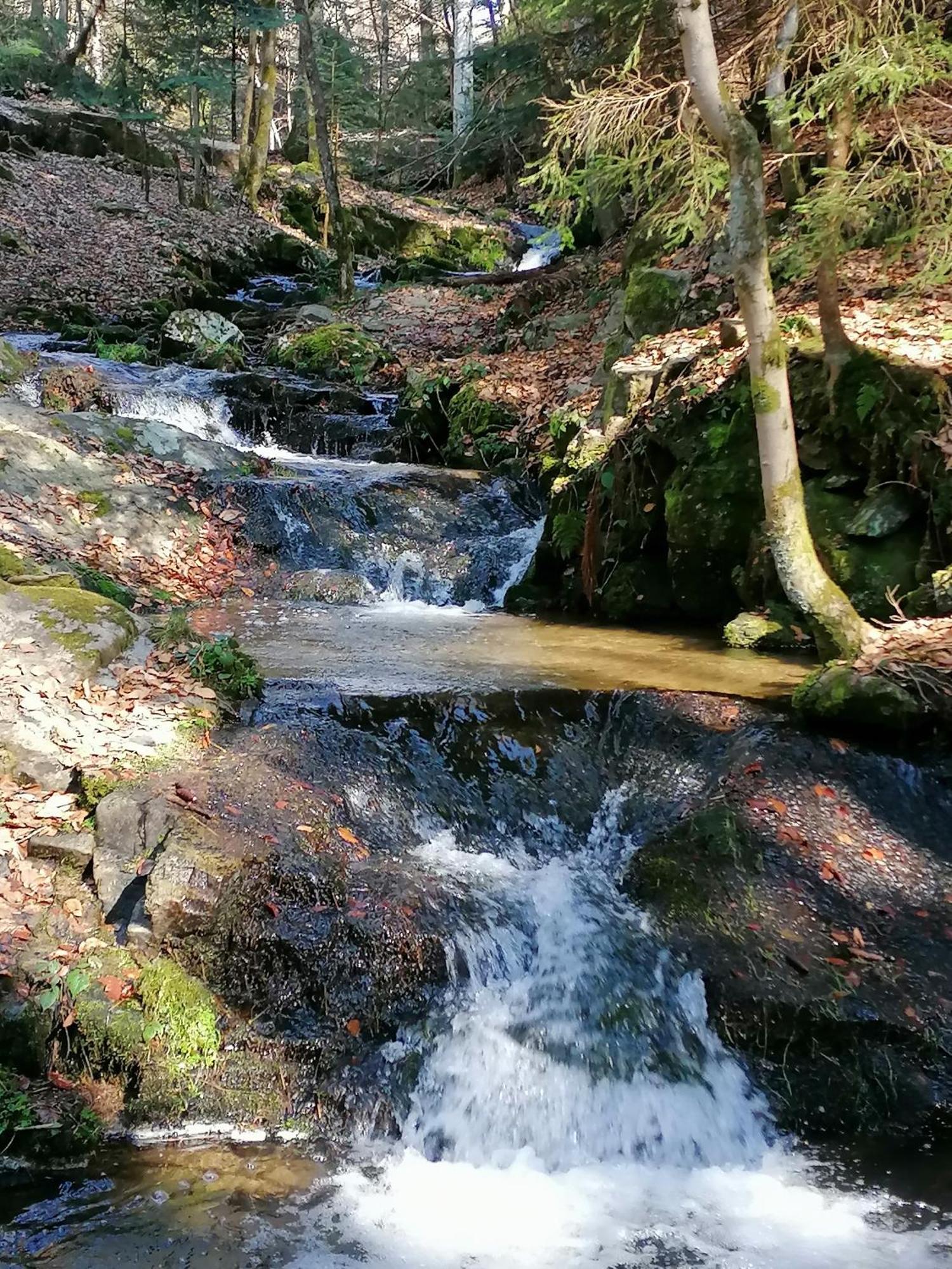 La Fortance Paradis Naturel - Proche de la ville Planfoy Esterno foto