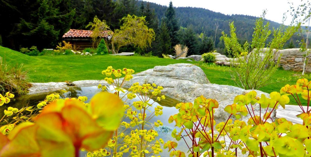 La Fortance Paradis Naturel - Proche de la ville Planfoy Esterno foto