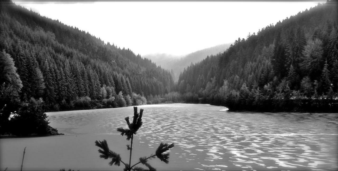 La Fortance Paradis Naturel - Proche de la ville Planfoy Esterno foto