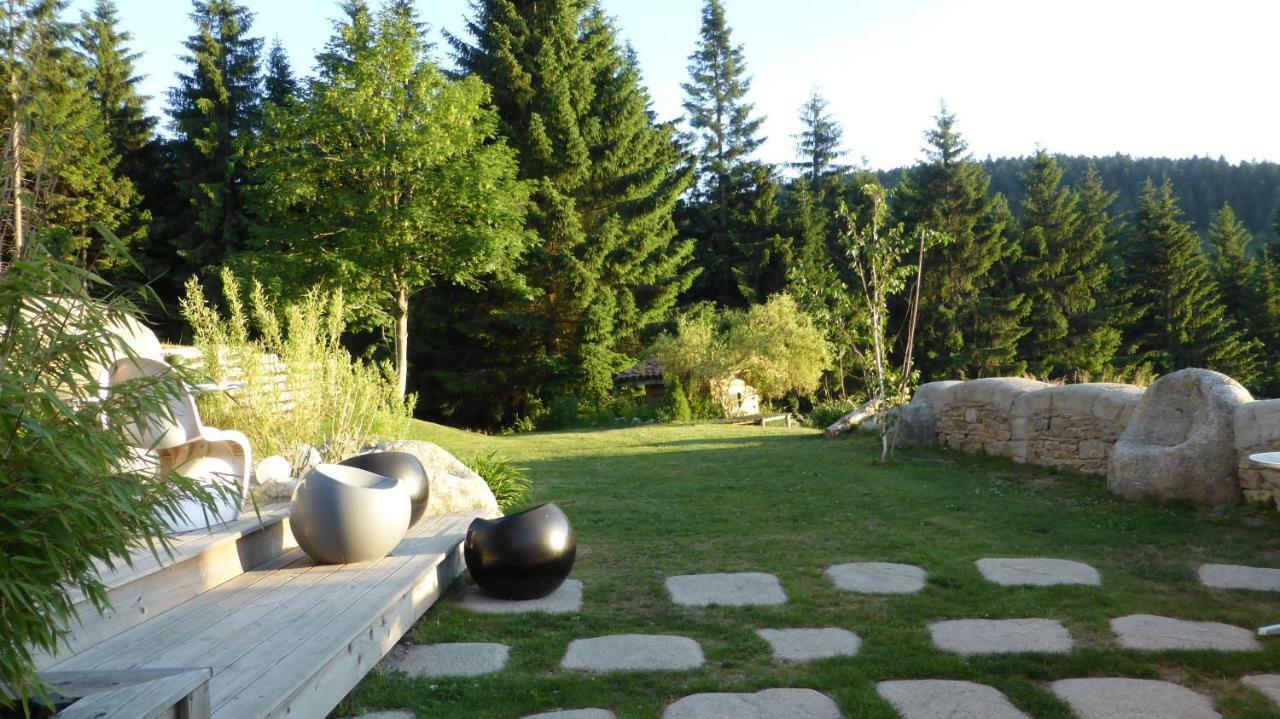 La Fortance Paradis Naturel - Proche de la ville Planfoy Esterno foto