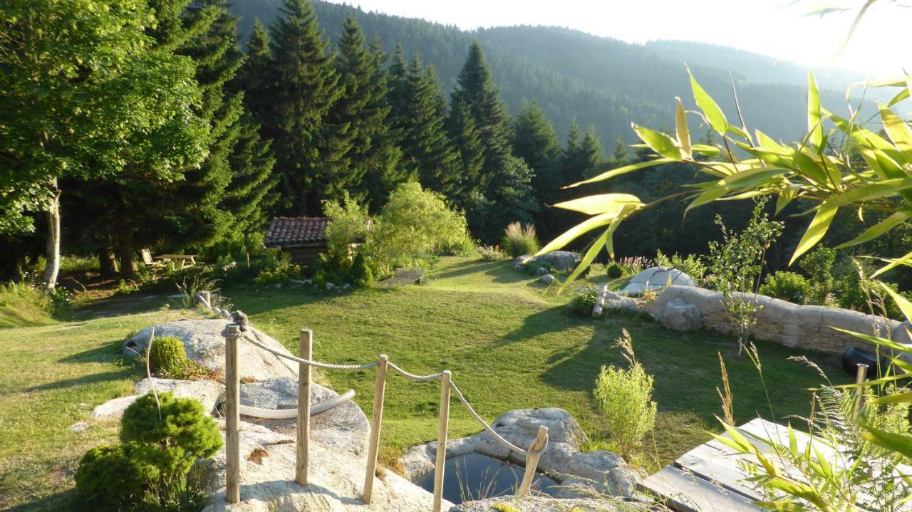 La Fortance Paradis Naturel - Proche de la ville Planfoy Esterno foto